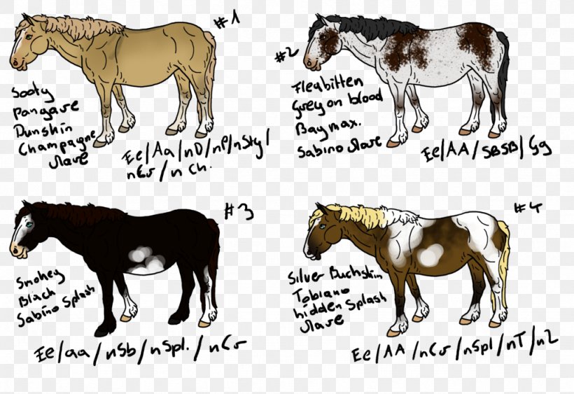 Mane Mustang Pony Stallion Mare, PNG, 1024x704px, Mane, Animal Figure, Donkey, Fauna, Horse Download Free