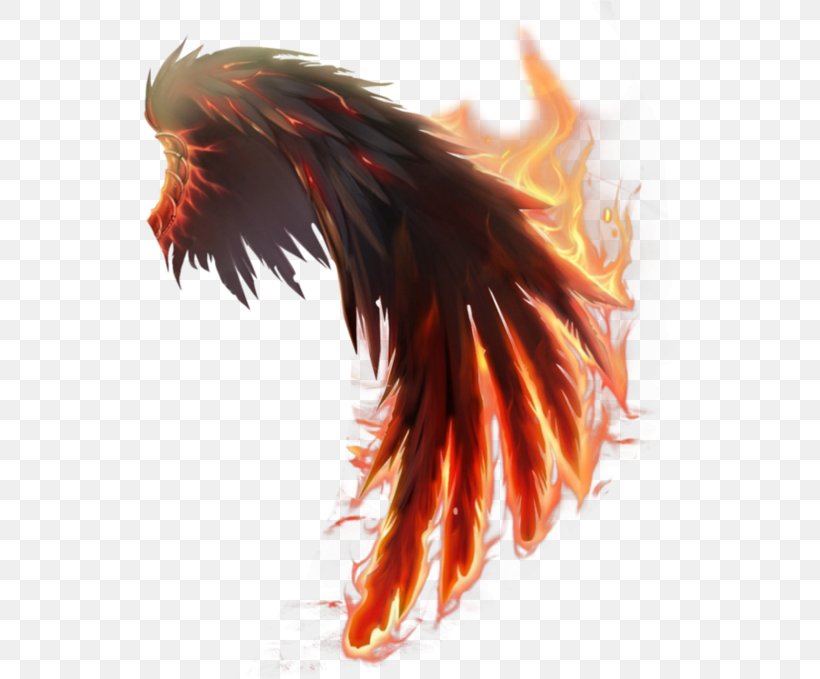 Wings Of Fire, PNG, 533x679px, Wings Of Fire, Beak, Dragon, Drawing, Feather Download Free