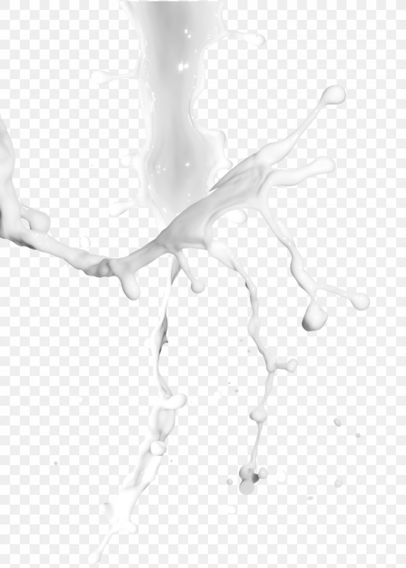 Milk Liquid, PNG, 3000x4200px, Milk, Arm, Black And White, Branch, Data Download Free