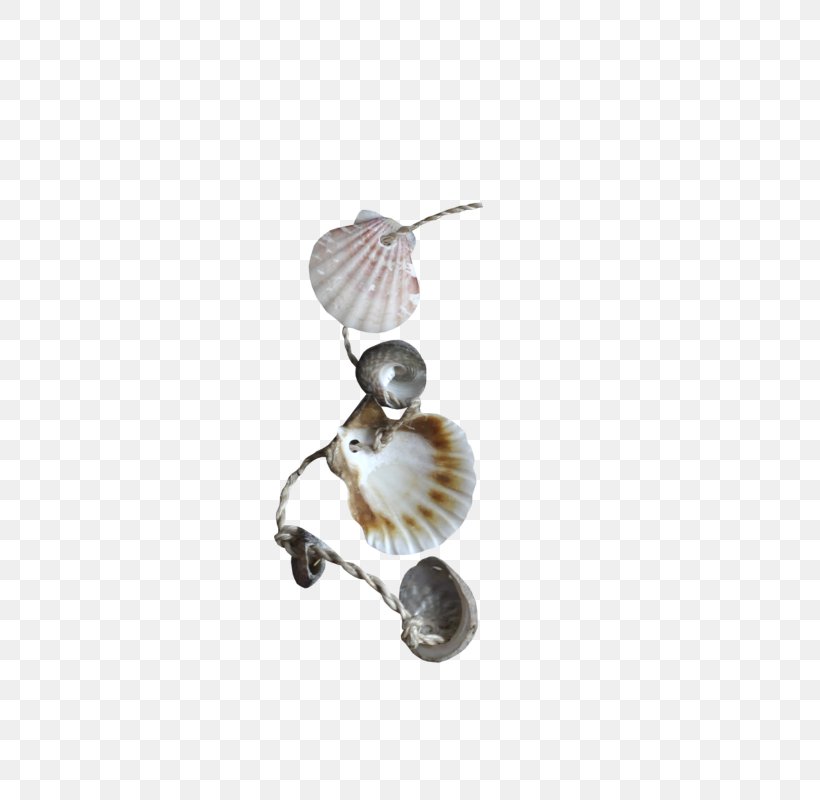 Seashell Clip Art, PNG, 733x800px, Seashell, Bijou, Body Jewelry, Google Images, Gratis Download Free