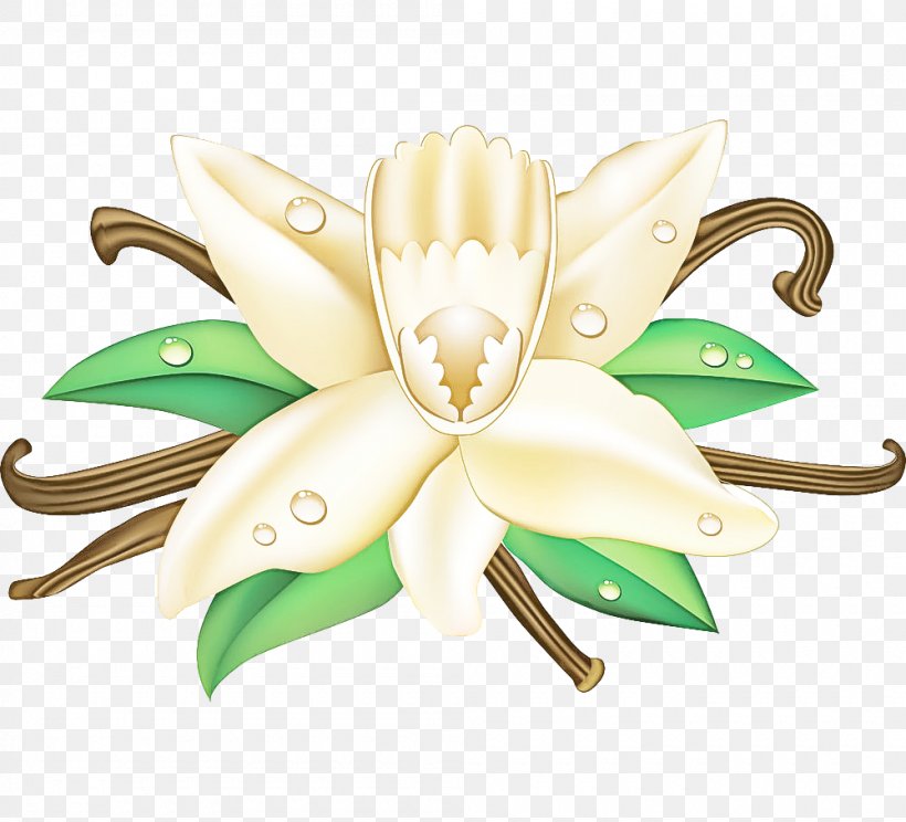 White Green Lily Flower Plant, PNG, 1000x908px, White, Flower, Green, Lily, Petal Download Free