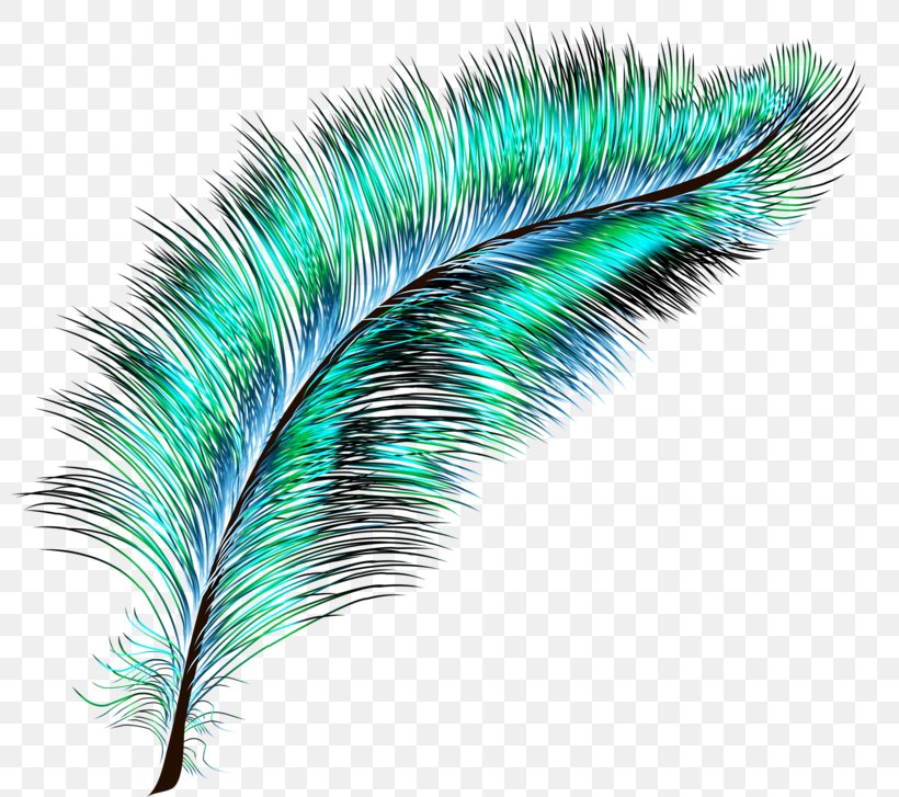 Bird Feather Drawing, PNG, 800x727px, Bird, Blue, Color, Contrast, Drawing Download Free