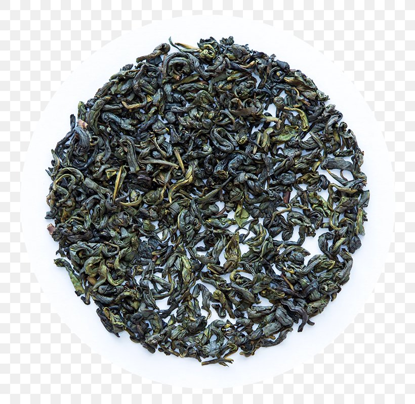 Green Tea Oolong Lapsang Souchong Nilgiri Tea, PNG, 800x800px, Tea, Assam Tea, Bancha, Biluochun, Camellia Sinensis Download Free