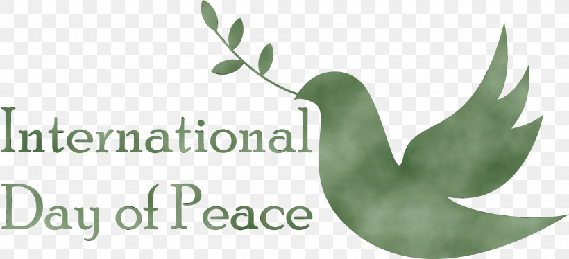 Leaf Plant Stem Logo Font Meter, PNG, 2999x1368px, International Day Of Peace, Biology, Leaf, Logo, Meter Download Free