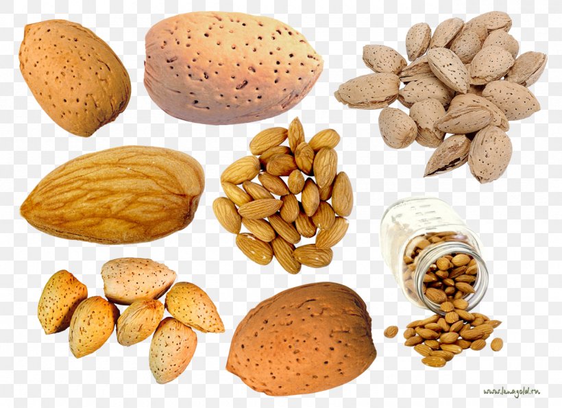 Peanut Vegetarian Cuisine Almond, PNG, 1280x930px, Nut, Almond, Commodity, Dried Fruit, Food Download Free