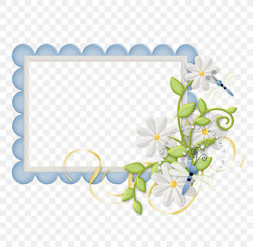 Picture Frames Photography Clip Art, PNG, 800x800px, Picture Frames, Branch, Camera, Cut Flowers, Drawing Download Free