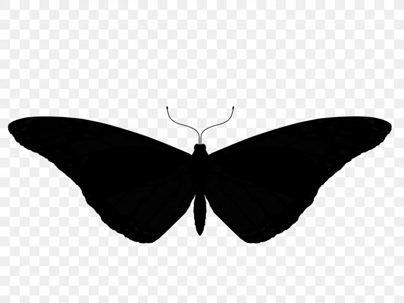 Brush-footed Butterflies Moth Symmetry, PNG, 1600x1200px, Brushfooted Butterflies, Arthropod, Black, Blackandwhite, Brushfooted Butterfly Download Free
