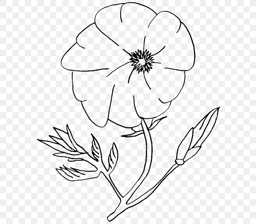 Coloring Book Christmas Coloring Pages Poppy Drawing, PNG, 600x719px, Coloring Book, Adult, Art, Artwork, Black And White Download Free