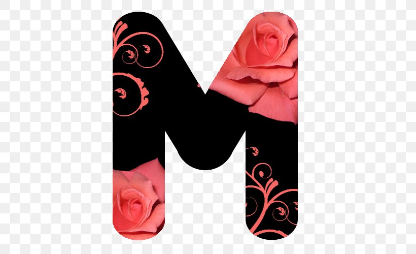 Garden Roses Pink M Mobile Phone Accessories Shoe, PNG, 500x500px, Garden Roses, Flower, Flowering Plant, Garden, Iphone Download Free