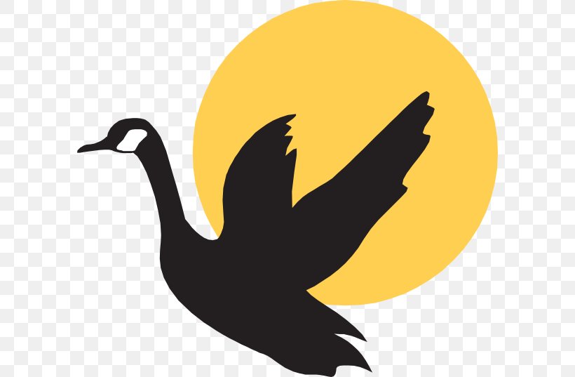 Goose Mallard Duck Bird, PNG, 600x537px, Goose, Beak, Bird, Canada Goose, Drawing Download Free
