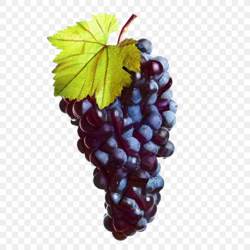 Grape Leaf, PNG, 1000x1000px, Wine, Accessory Fruit, Berry, Blackberry, Common Grape Vine Download Free