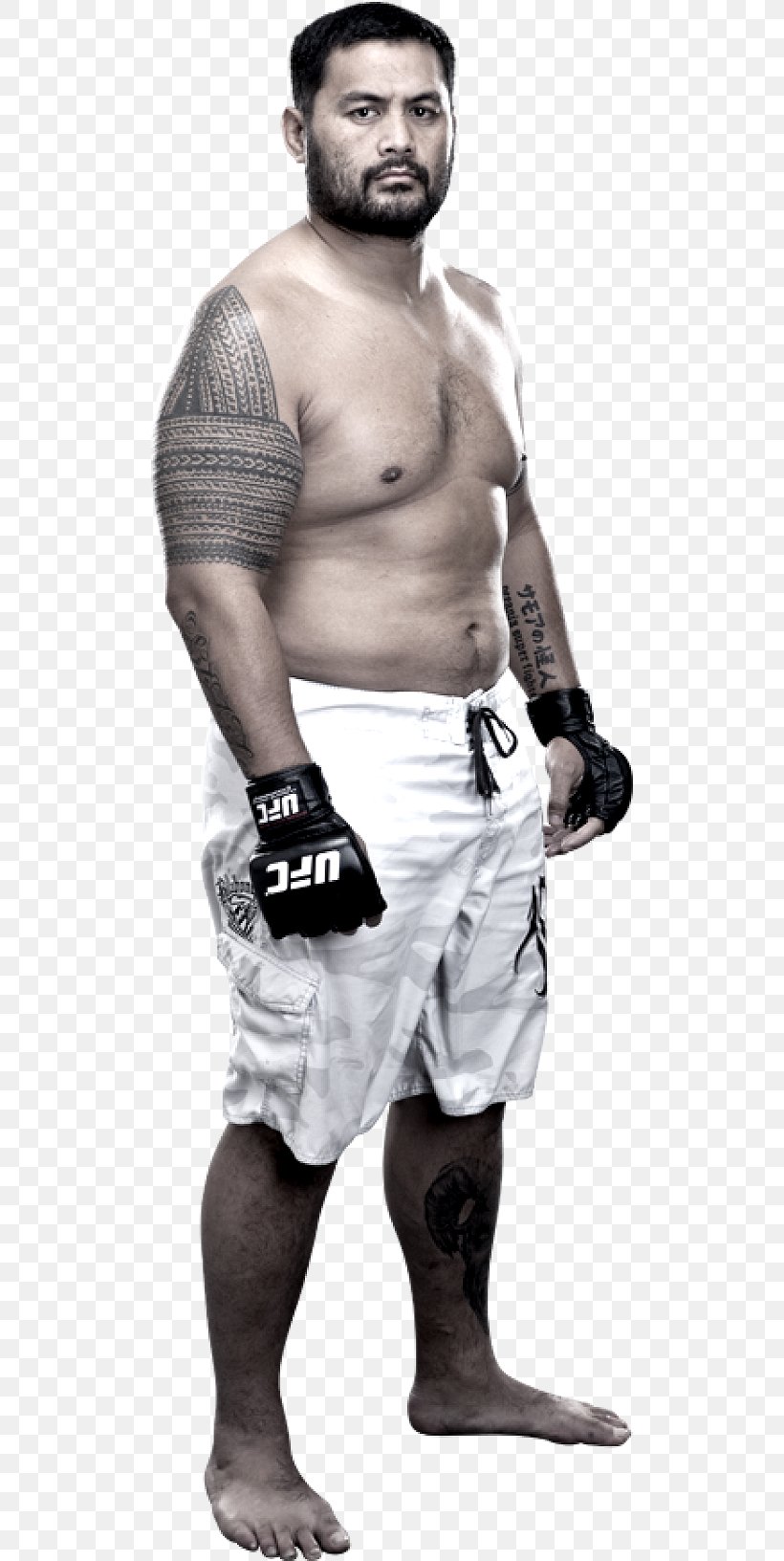 Mark Hunt UFC 180: Werdum Vs. Hunt Kickboxing Male Sport, PNG, 504x1632px, Watercolor, Cartoon, Flower, Frame, Heart Download Free
