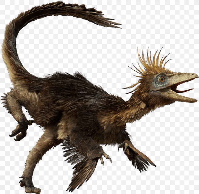 Troodon Velociraptor Dromaeosaurus Edmontosaurus Gorgosaurus, PNG, 1017x988px, Troodon, Death Of A Dynasty, Dinosaur, Dinosaur Planet, Dromaeosaurus Download Free