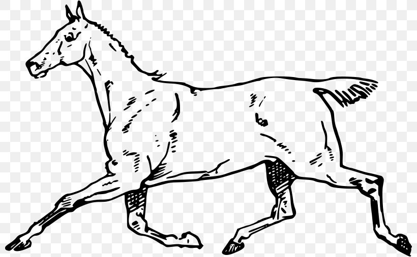 Mule Canter And Gallop Mustang Clip Art, PNG, 800x507px, Mule, Animal, Animal Figure, Art, Black And White Download Free