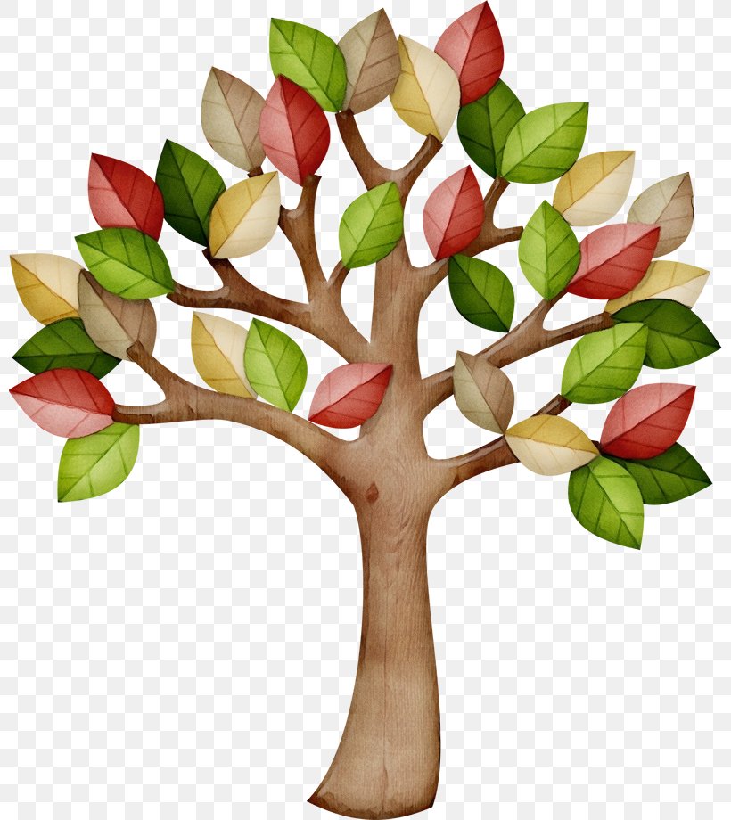 Oak Tree Drawing, PNG, 800x920px, Watercolor, Anthurium, Arctostaphylos, Birch, Branch Download Free