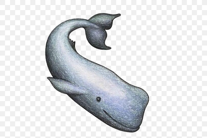 Right Whales Drawing Dolphin, PNG, 519x546px, Eubalaena, Animal, Balaenidae, Blue Whale, Cartoon Download Free