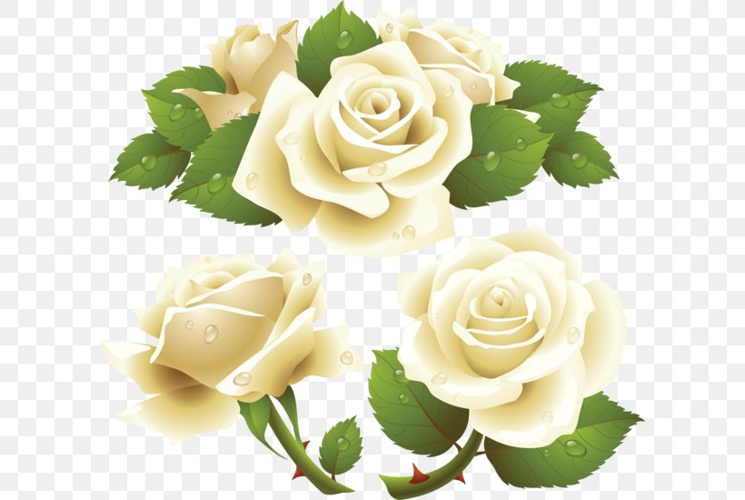 Rose Clip Art, PNG, 600x550px, Rose, Cut Flowers, Floral Design, Floribunda, Floristry Download Free