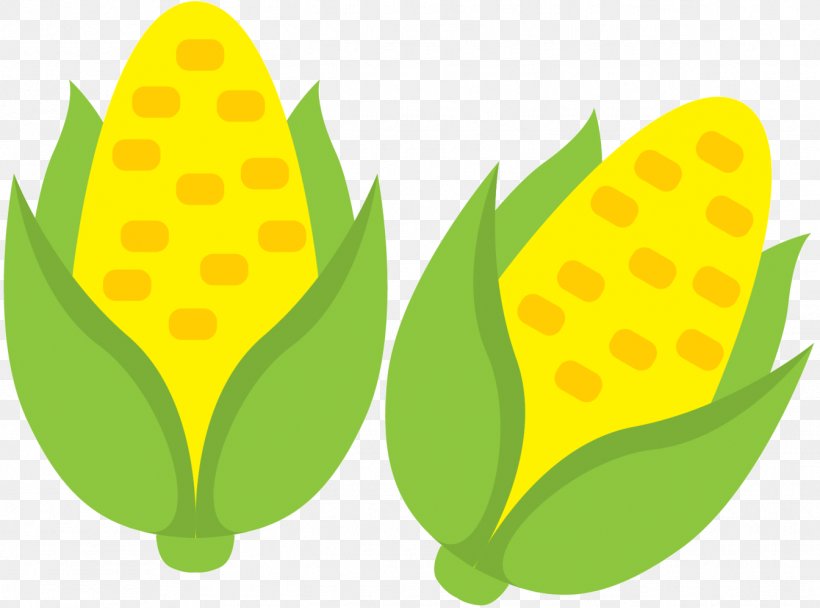 Clip Art Commodity Product Design Flowering Plant Vegetable, PNG, 1344x998px, Commodity, Flowering Plant, Fruit, Leaf, Plant Download Free