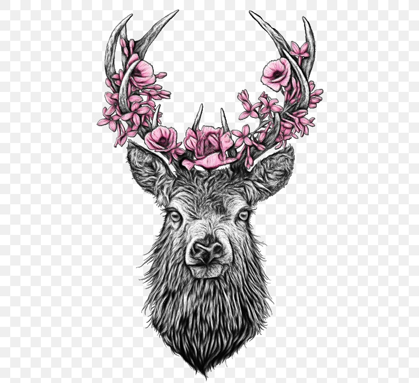 Head Horn Antler Drawing Deer, PNG, 479x750px, Watercolor, Antler, Deer, Drawing, Head Download Free