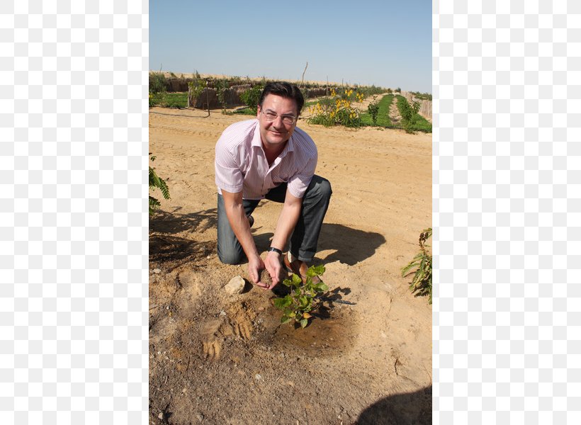 Shrubland Tree Soil Lawn Vacation, PNG, 600x600px, Shrubland, Geology, Grass, Landscape, Lawn Download Free