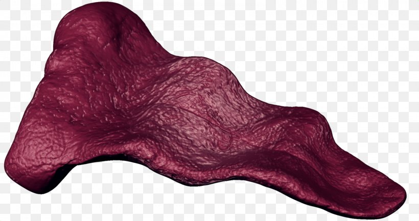 Tongue Texture Mapping Mouth 3D Computer Graphics Saliva, PNG, 1600x848px, 3d Computer Graphics, Tongue, Gamebanana, Magenta, Mouth Download Free
