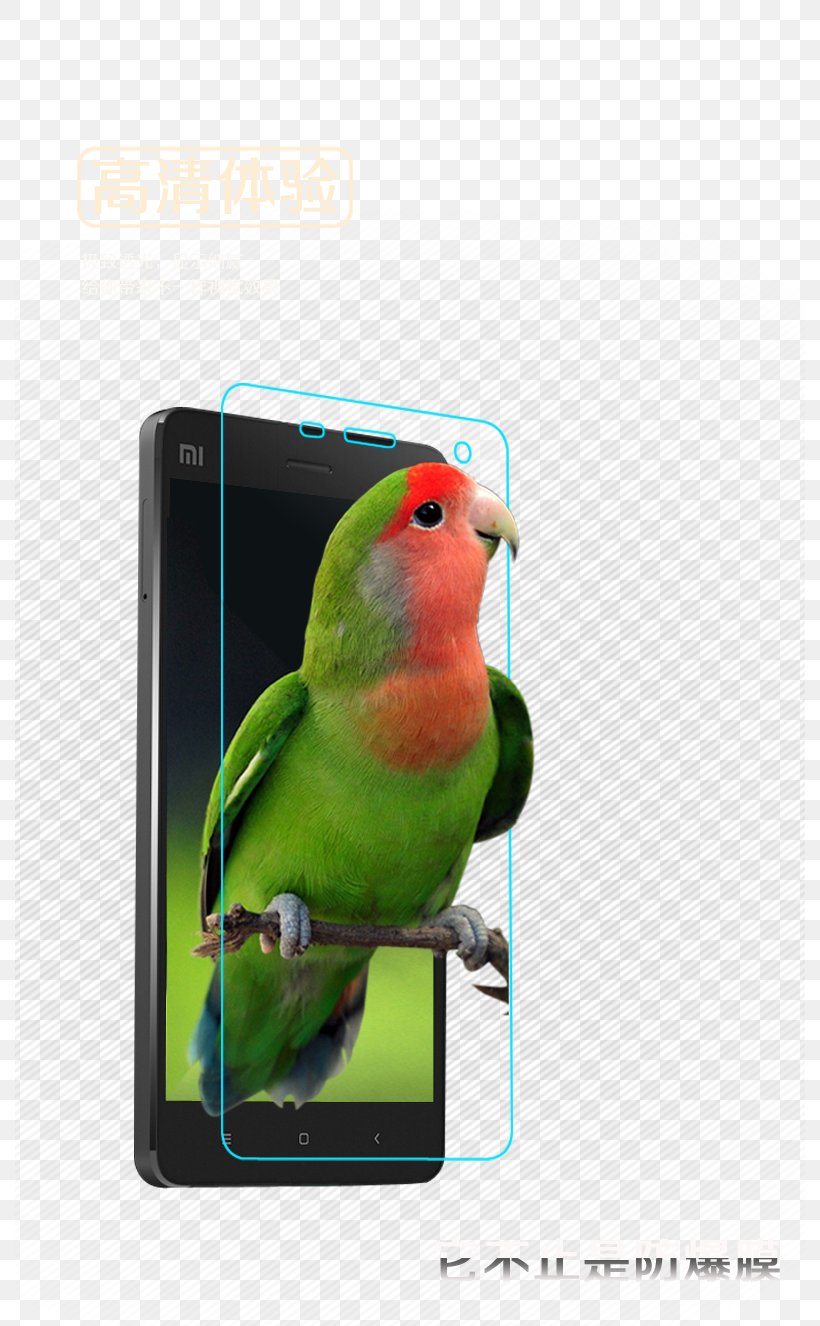 IPhone 6 IPhone 7 IPhone 5s Photographic Film Telephone, PNG, 790x1326px, Iphone 6, Beak, Bird, Fauna, Glass Download Free