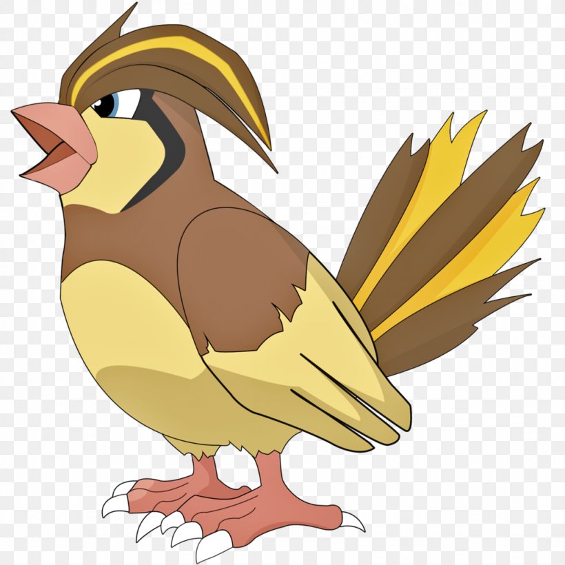 Pokémon X And Y Pokémon GO Pidgeotto, PNG, 1024x1024px, Watercolor, Cartoon, Flower, Frame, Heart Download Free