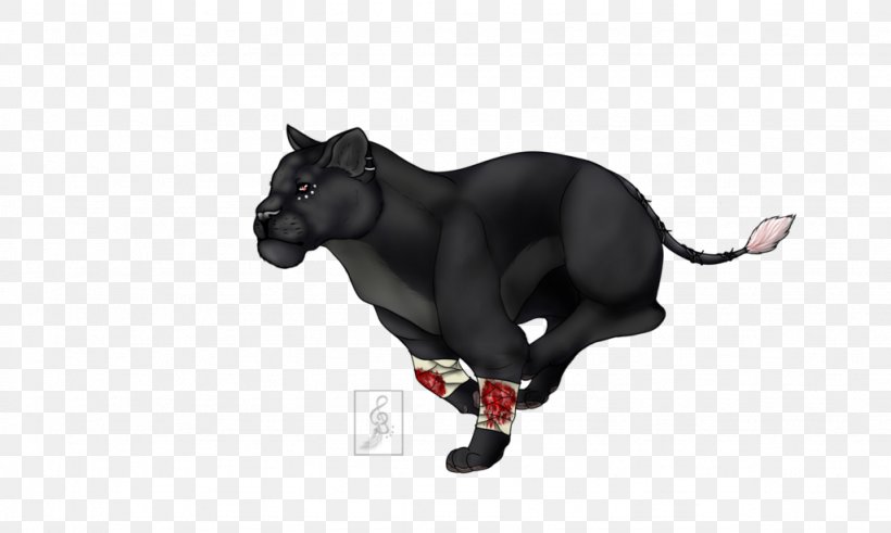 Puma Snout Black M Black Panther, PNG, 1024x614px, Puma, Black, Black M, Black Panther, Carnivoran Download Free