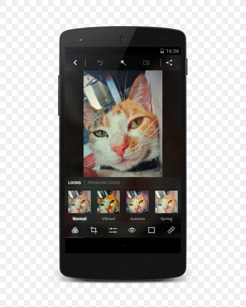 Smartphone Feature Phone Cat Multimedia Electronics, PNG, 605x1024px, Smartphone, Cat, Cat Like Mammal, Communication Device, Electronic Device Download Free