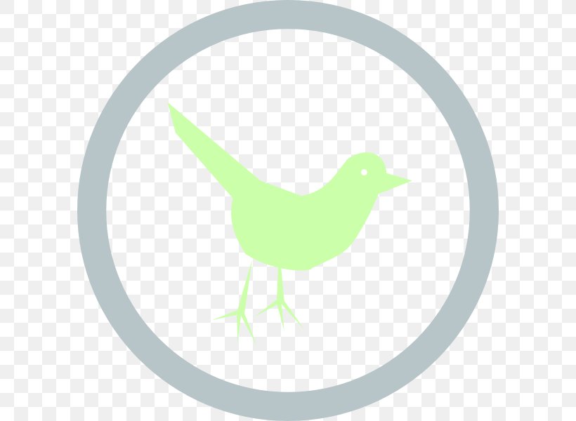 Social Media Clip Art, PNG, 600x600px, Social Media, Beak, Bird, Duck, Ducks Geese And Swans Download Free