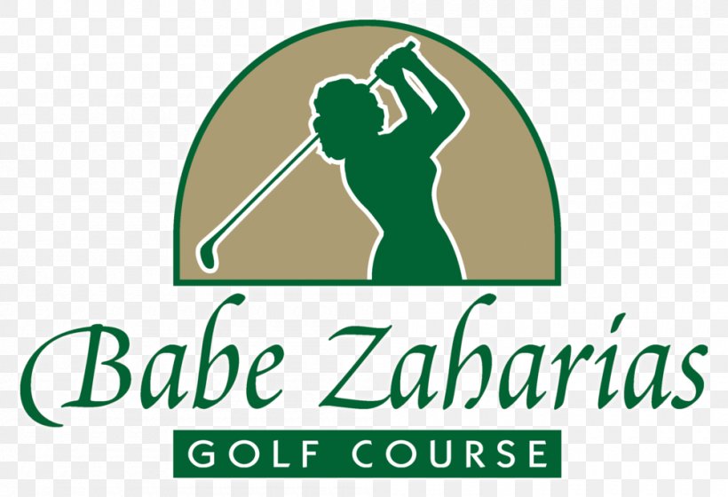 Babe Zaharias Golf Course Rogers Park, Tampa Rocky Point Golf Course, PNG, 1000x684px, Golf, Area, Brand, Country Club, Footjoy Download Free
