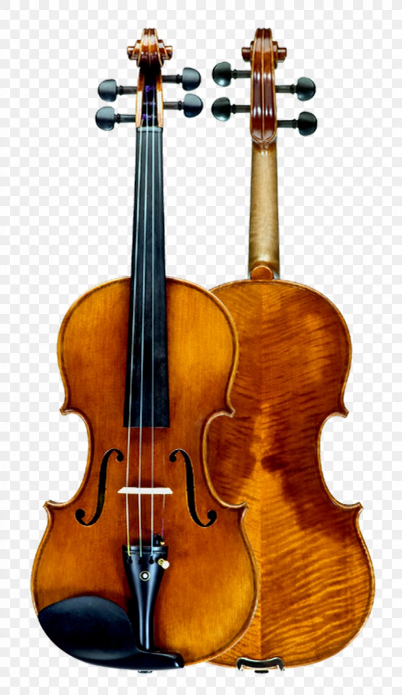 Baroque Violin Double Bass String Instruments Cello, PNG, 1005x1737px, Violin, Acoustic Electric Guitar, Amati, Antonio Violins Ukuleles, Baroque Violin Download Free