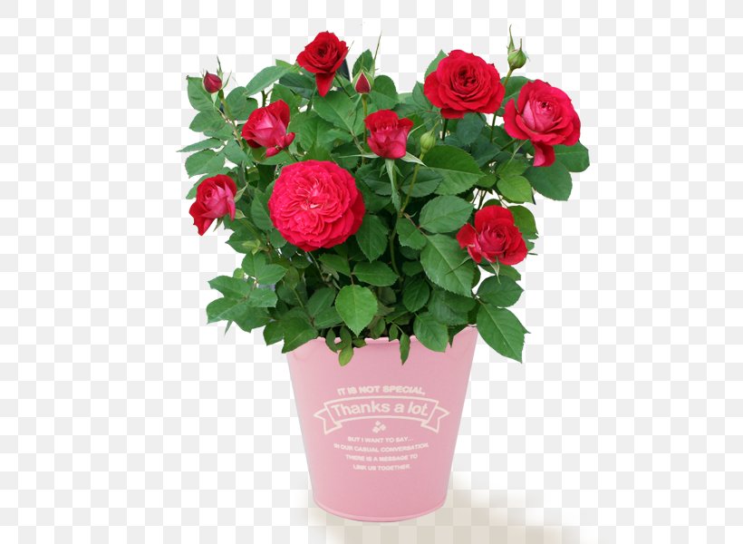 Flower Bouquet Rose Flower Delivery, PNG, 600x600px, Flower Bouquet, Annual Plant, Artificial Flower, Begonia, Birthday Download Free