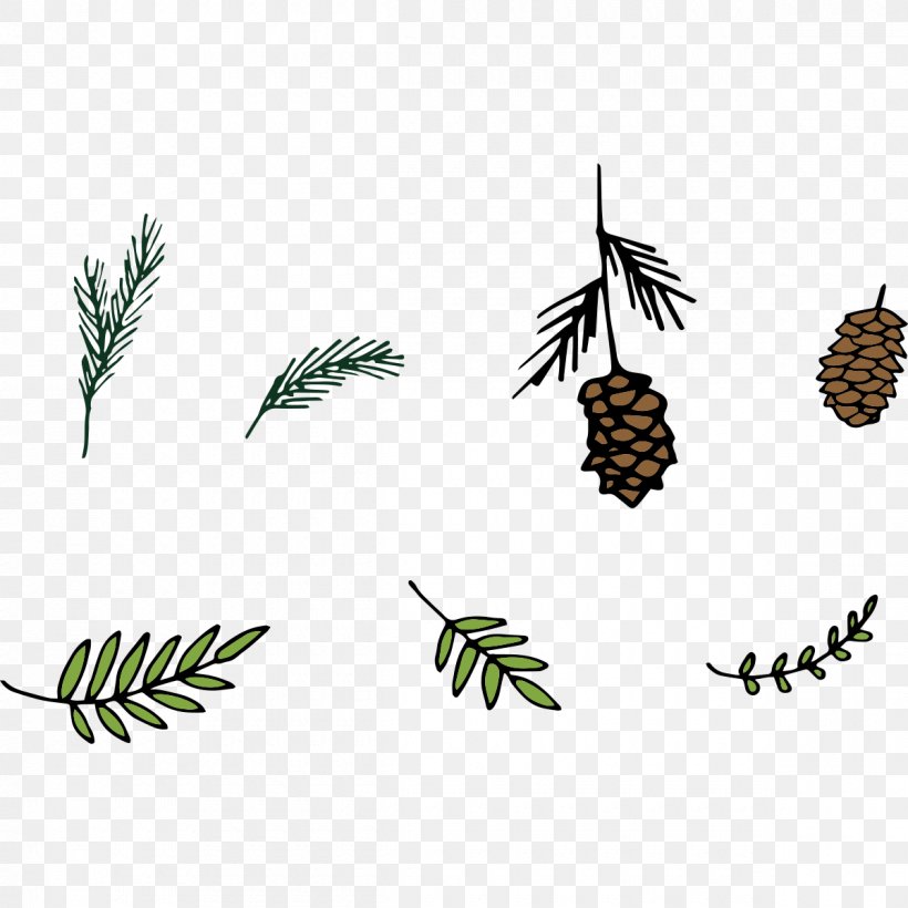 Pine Leaf Euclidean Vector, PNG, 1200x1200px, Insect, Branch, Family, Flora, Flower Download Free