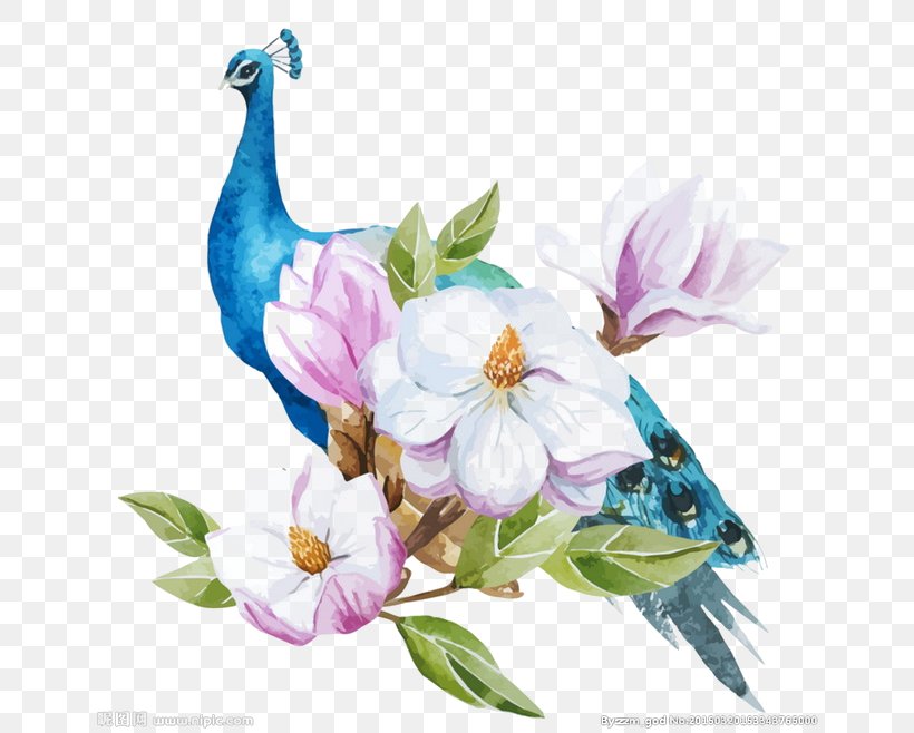 Blue Peacock, PNG, 658x658px, Watercolour Flowers, Art, Botanical Illustration, Branch, Cut Flowers Download Free