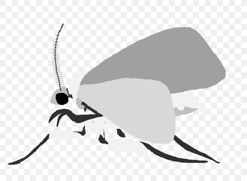 Butterfly Insect White Silhouette Clip Art, PNG, 800x600px, Butterfly, Arthropod, Black And White, Butterflies And Moths, Character Download Free