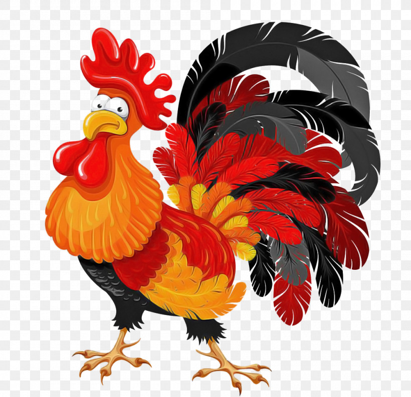Chicken Rooster Bird Comb Fowl, PNG, 1000x968px, Chicken, Beak, Bird, Comb, Fowl Download Free