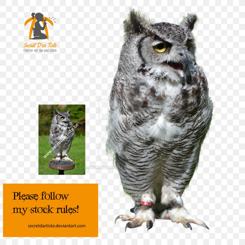 Great Grey Owl Bird Of Prey Animal, PNG, 800x820px, Owl, Animal, Artist, Beak, Bird Download Free