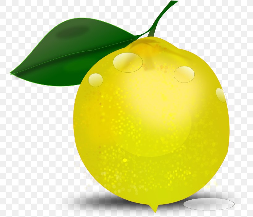 Lemon Tree, PNG, 760x702px, Lemon, Accessory Fruit, Citrus, Document, Food Download Free