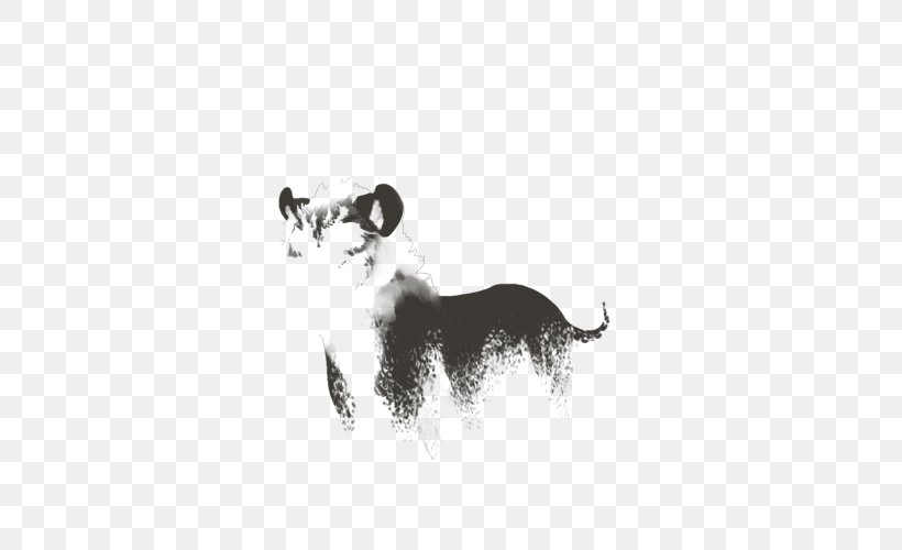 Whiskers Dog Cat Drawing Snout, PNG, 640x500px, Whiskers, Big Cats, Black, Black And White, Black M Download Free