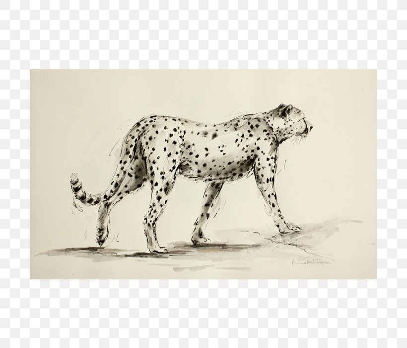 Dalmatian Dog Leopard Cheetah Jaguar Cat, PNG, 700x700px, Dalmatian Dog, Animal, Big Cat, Big Cats, Black And White Download Free
