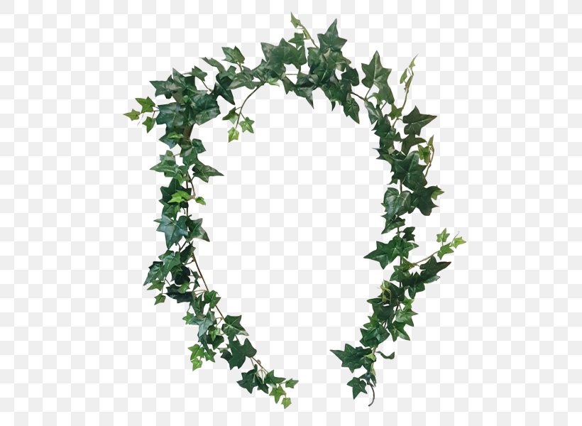 Garland Wreath Cut Flowers Branch, PNG, 800x600px, Garland, Branch, Code, Cut Flowers, Flowering Plant Download Free