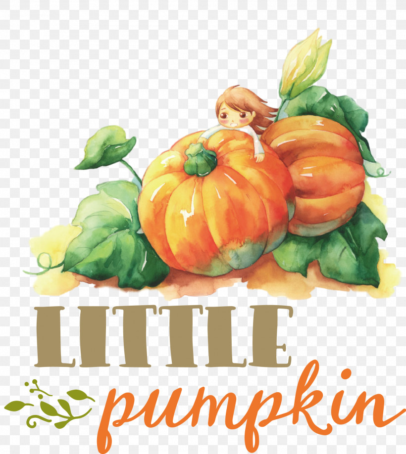 Little Pumpkin Thanksgiving Autumn, PNG, 2084x2335px, Little Pumpkin, Autumn, Bank, Crookneck Squash, Cucurbita Maxima Download Free