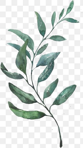 Watercolor Painting Leaf Botanical Illustration Botany Illustration ...