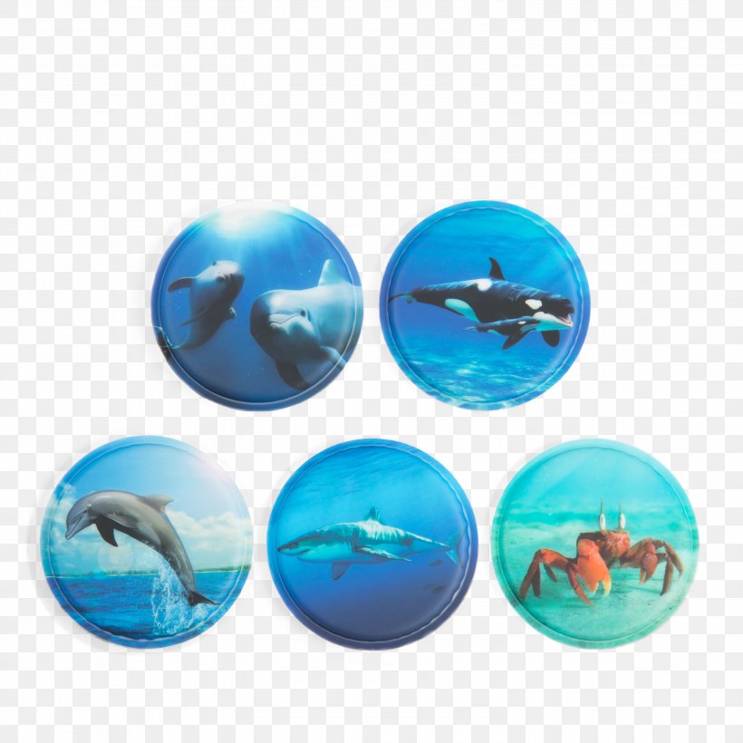 Backpack Bag Marine Mammal Oceanic Dolphin EBay, PNG, 3000x3000px, Backpack, Aqua, Bag, Button, Cetacea Download Free