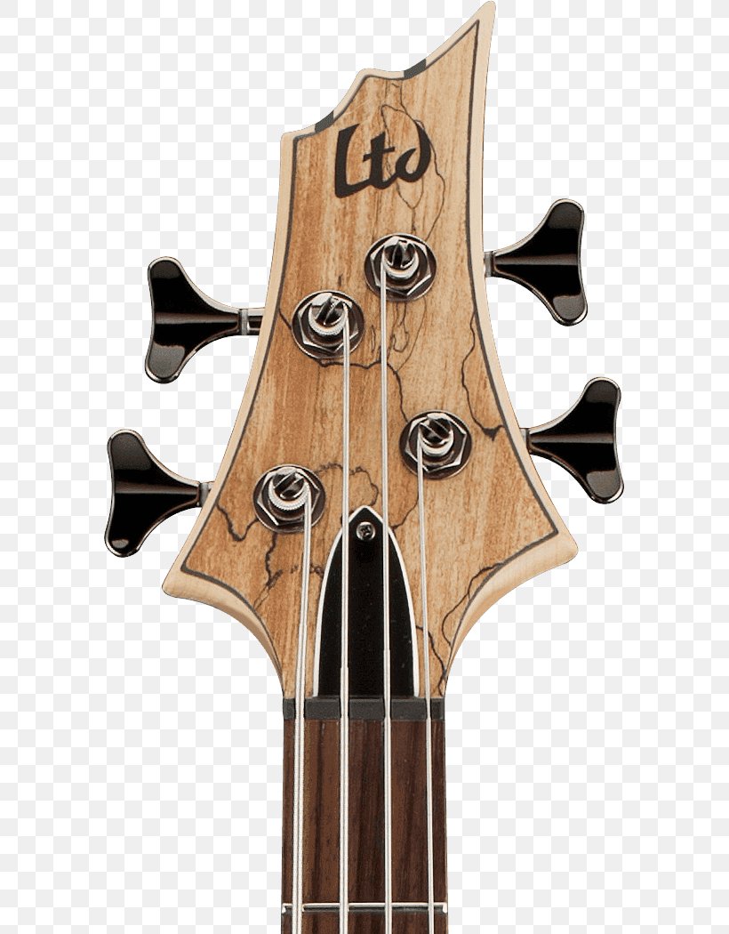 Bass Guitar ESP LTD EC-1000 Acoustic-electric Guitar ESP LTD B205SM Musical Instruments, PNG, 585x1050px, Watercolor, Cartoon, Flower, Frame, Heart Download Free