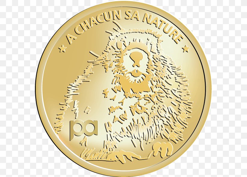 Coin Gold Medal Cash Money, PNG, 640x587px, Coin, Cash, Currency, Gold, Material Download Free
