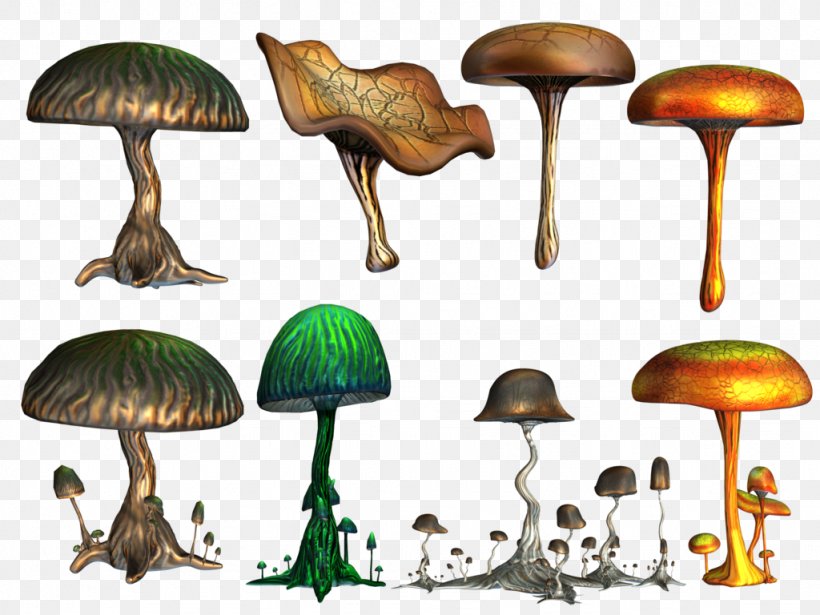 Psilocybin Mushroom Fungus, PNG, 1024x768px, Mushroom, Art, Deviantart, Fungus, Organism Download Free