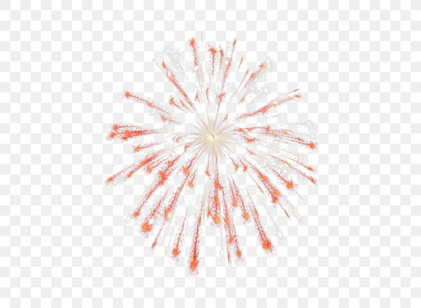 2016 San Pablito Market Fireworks Explosion Clip Art, PNG, 600x600px, 4 July, Fireworks, Adobe Fireworks, Event, Independence Day Download Free