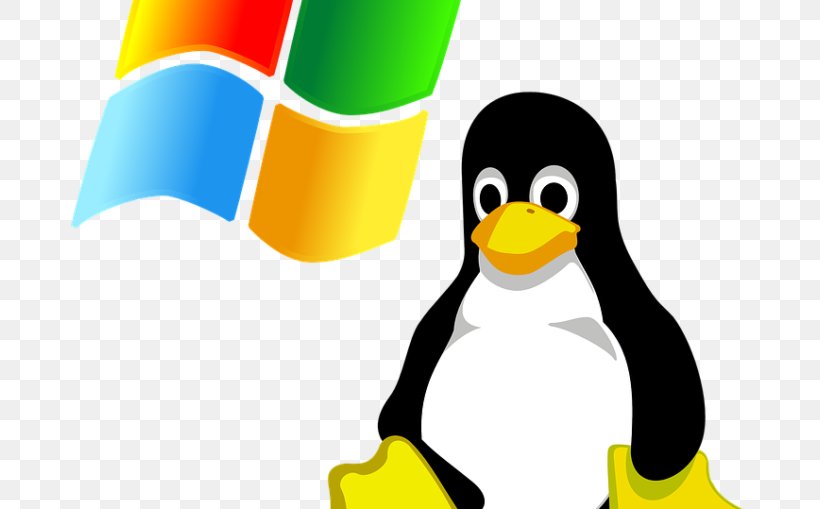 Free Software Computer Software Linux Kernel Tux, PNG, 678x509px, Free Software, Beak, Bird, Computer Software, Flightless Bird Download Free